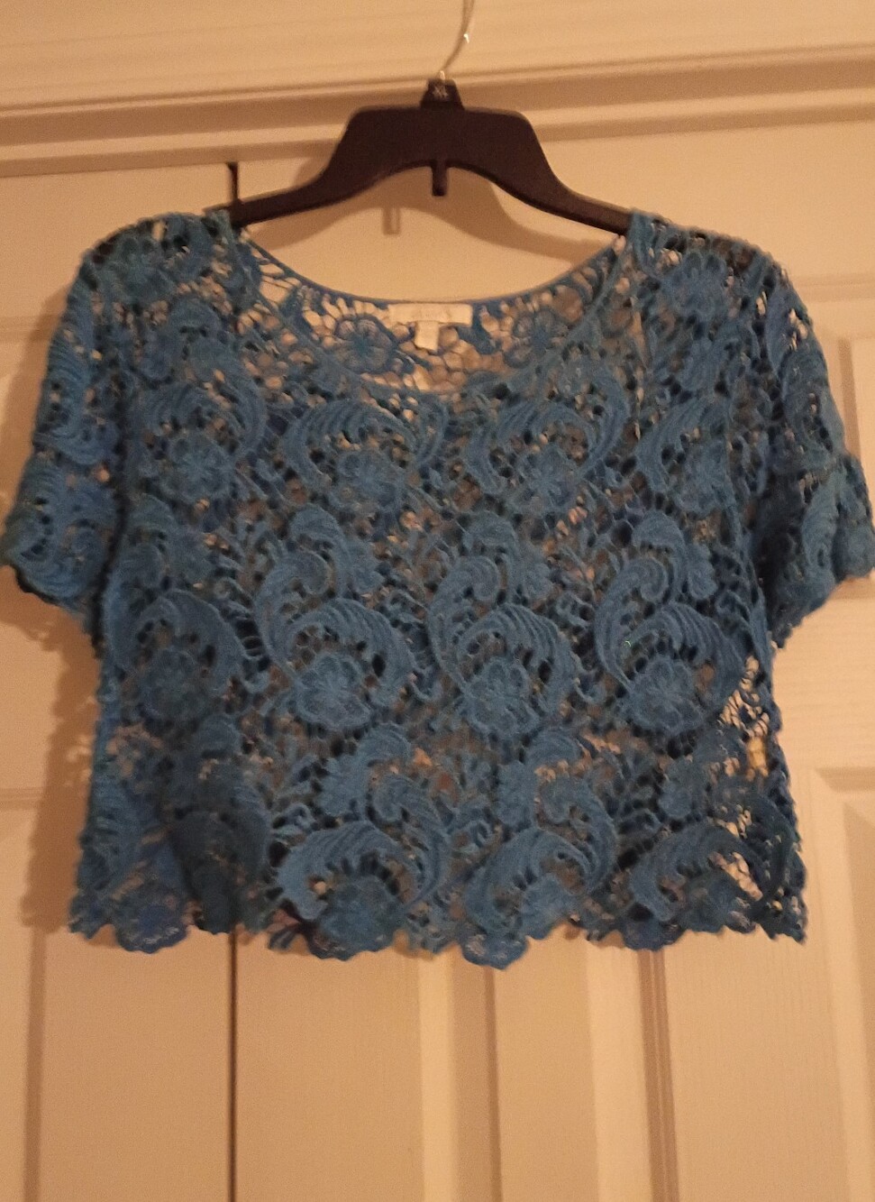Blue Crochet Lace Crop Top - Women's Short Sleeve